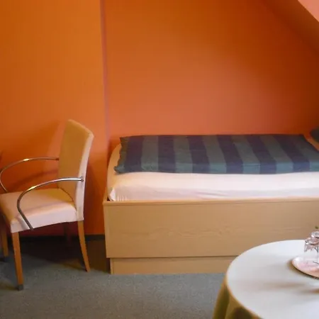 Parkhotel Phoenix Garni Pensionat 3*